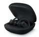Навушники TWS Beats by Dr. Dre Powerbeats Pro Black (MV6Y2/MY582)