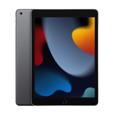Планшет Apple iPad 10.2 2021 Wi-Fi 256GB Space Gray (MK2N3RK/A)